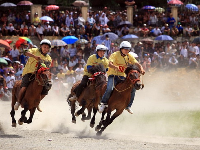 Hoàn thiện quy định đặt cược đua ngựa, bóng đá quốc tế