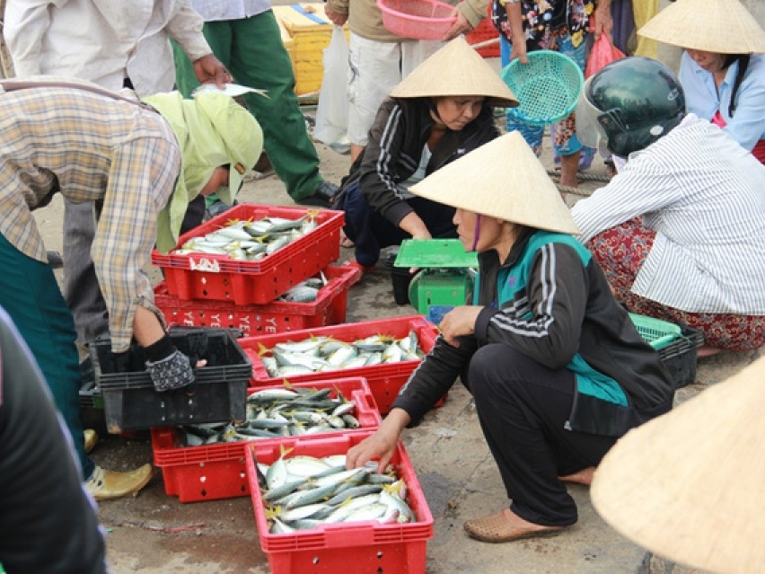 Bộ Nông nghiệp: Không có hải sản "vùng cấm" bị bán ra thị trường