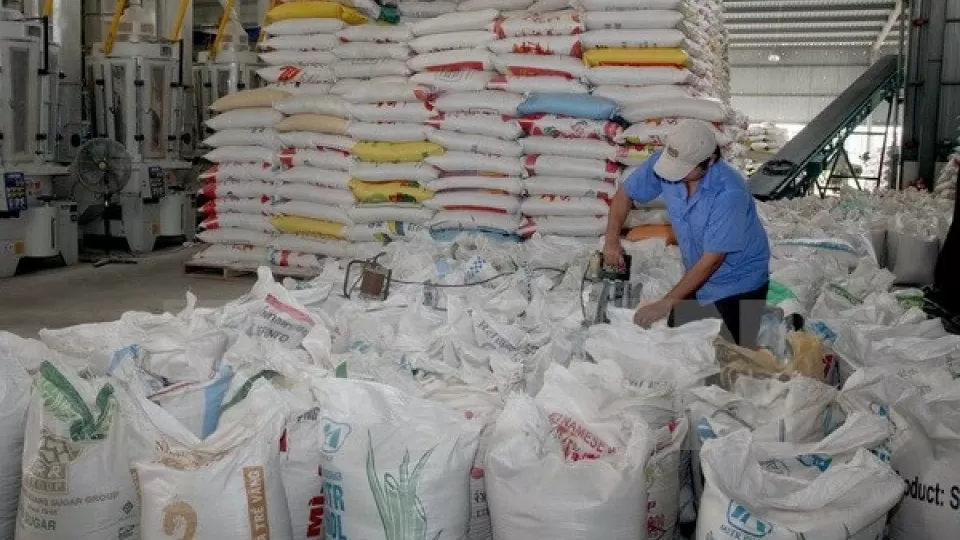 Giá gạo xuất khẩu của Việt Nam giảm xuống mức thấp nhất trong một năm