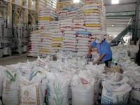 Xuất khẩu ngày 5-7/5: Thêm một quốc gia tăng đột biến nhập khẩu gạo của Việt Nam; nhiều triển vọng cho hàng công nghiệp vào thị trường RCEP