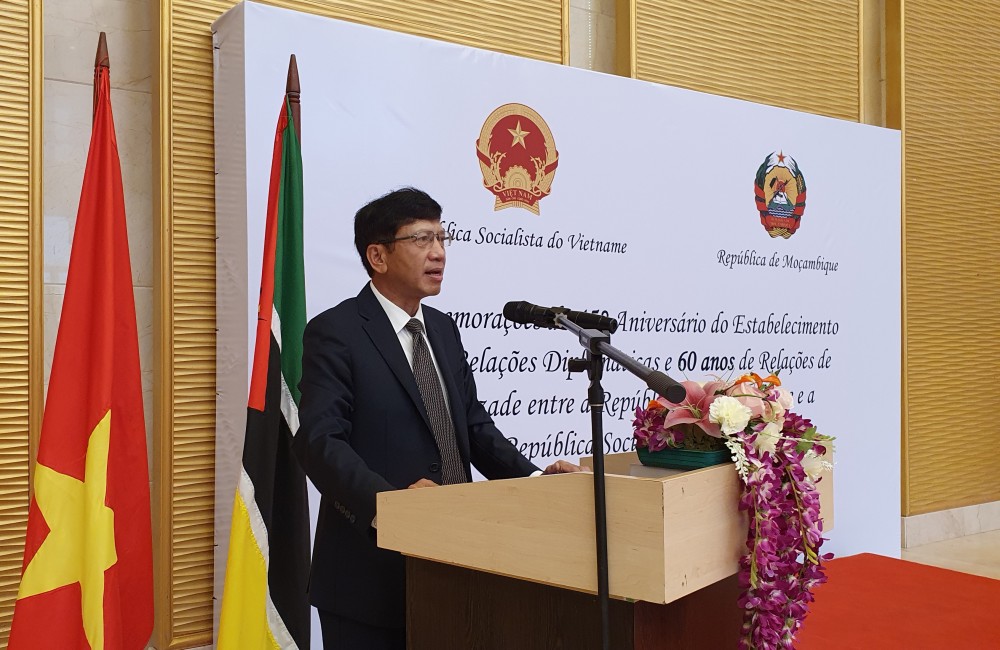 Embassy keeps close watch on situation in northern Mozambique: Ambassador Le Huy Hoang