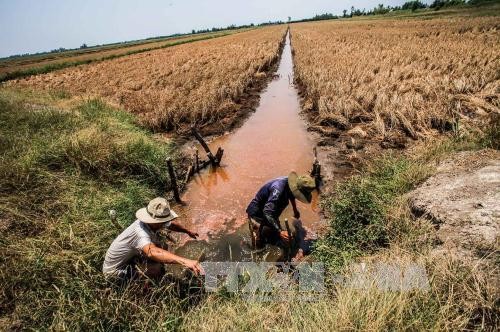 Saltwater intrusion in the delta is forecast to be less severe than last season.