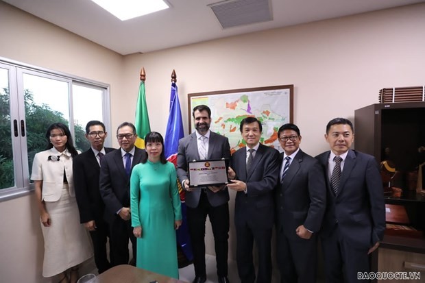 Vietnamese Ambassador to Brazil Pham Thi Kim Hoa (fourth from left) pose for a group photo with ambassadors of the ASEAN Committee in Brazil. (Photo: Embassy of Vietnam in Brazil)