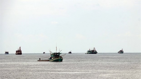 Camau installs monitoring device on all offshore fishing boats