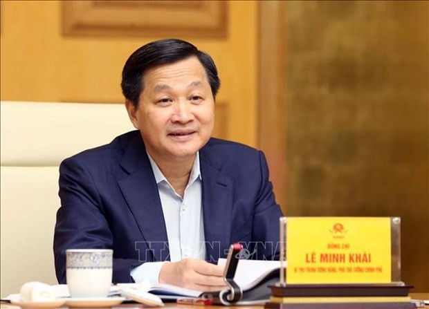 Deputy Prime Minister Le Minh Khai. (Photo: VNA)