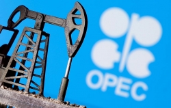 UAE lo thiếu hụt nguồn cung dầu, OPEC+ tự nguyện cắt giảm sản lượng để cân bằng thị trường