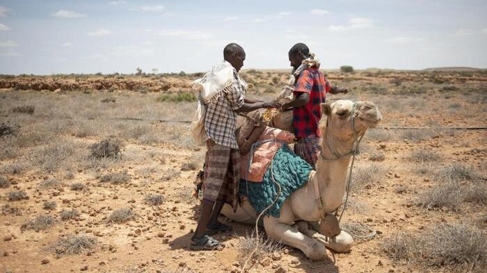 Biến đổi khí hậu: Châu Phi ngày càng chịu nhiều tổn thất, thúc đẩy tìm kiếm bồi thường