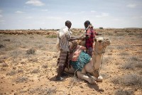 Biến đổi khí hậu: Châu Phi ngày càng chịu nhiều tổn thất, thúc đẩy tìm kiếm bồi thường