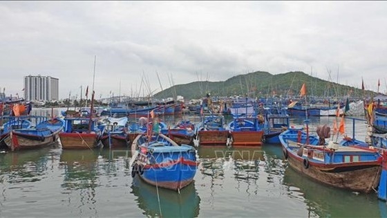 Khanh Hoa asked to hasten moves to address IUU fishing