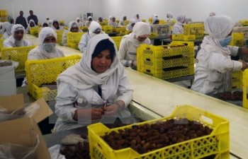 Algeria to export dates to Vietnam