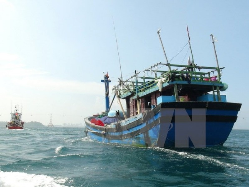 Xác minh, điều tra thủ phạm đâm chìm tàu cá của tỉnh Bình Định