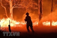 Điện thăm hỏi về các vụ cháy rừng gây thiệt hại lớn tại Australia