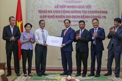 Bản sắc ngoại giao 'cây tre Việt Nam' và công tác đối với người Việt Nam ở nước ngoài