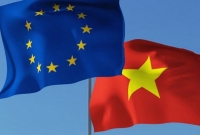 Thông cáo báo chí chung về Đối thoại Việt Nam - Liên minh châu Âu về quyền con người 2020
