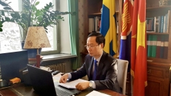 Đại sứ quán Việt Nam tại Thụy Điển tham dự Hội thảo về cơ hội hợp tác ASEAN-Thụy Điển