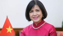 Ambassador Le Thi Tuyet Mai affirms Viet Nam’s consistent policy on promoting human rights