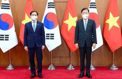 Bộ trưởng Ngoại giao Bùi Thanh Sơn thăm chính thức Hàn Quốc: Củng cố nền tảng vững chắc, mở ra triển vọng tốt đẹp