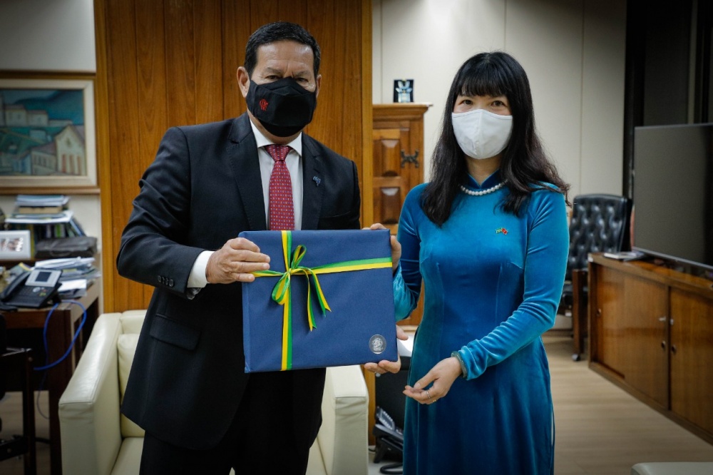 Đại sứ Phạm Thị Kim Hoa chào xã giao Phó Tổng thống Brazil