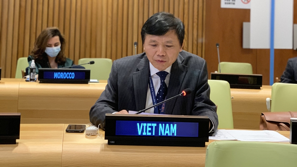 Phát biểu tại cuộc họp, Đại sứ, Trưởng Phái đoàn Việt Nam tại LHQ Đặng Đình Quý