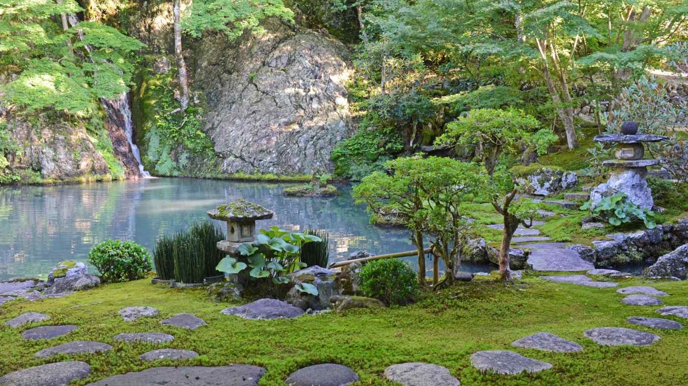 Tái sinh trong vườn Nhật Bản