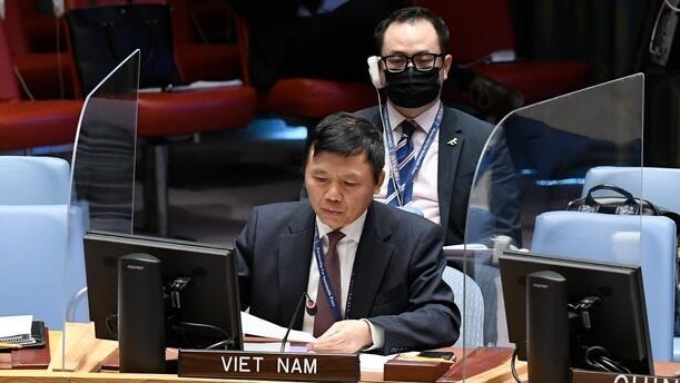 Việt Nam kêu gọi các bên tại Mali kiềm chế, giải quyết khác biệt thông qua đối thoại, tham vấn