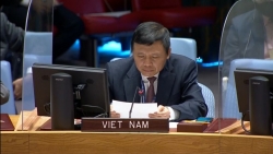 Việt Nam kêu gọi cộng đồng quốc tế tiếp tục ủng hộ tiến trình chính trị tại Haiti