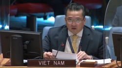 Việt Nam kêu gọi tạo điều kiện thuận lợi cho hoạt động của Phái bộ LHQ tại CH. Trung Phi