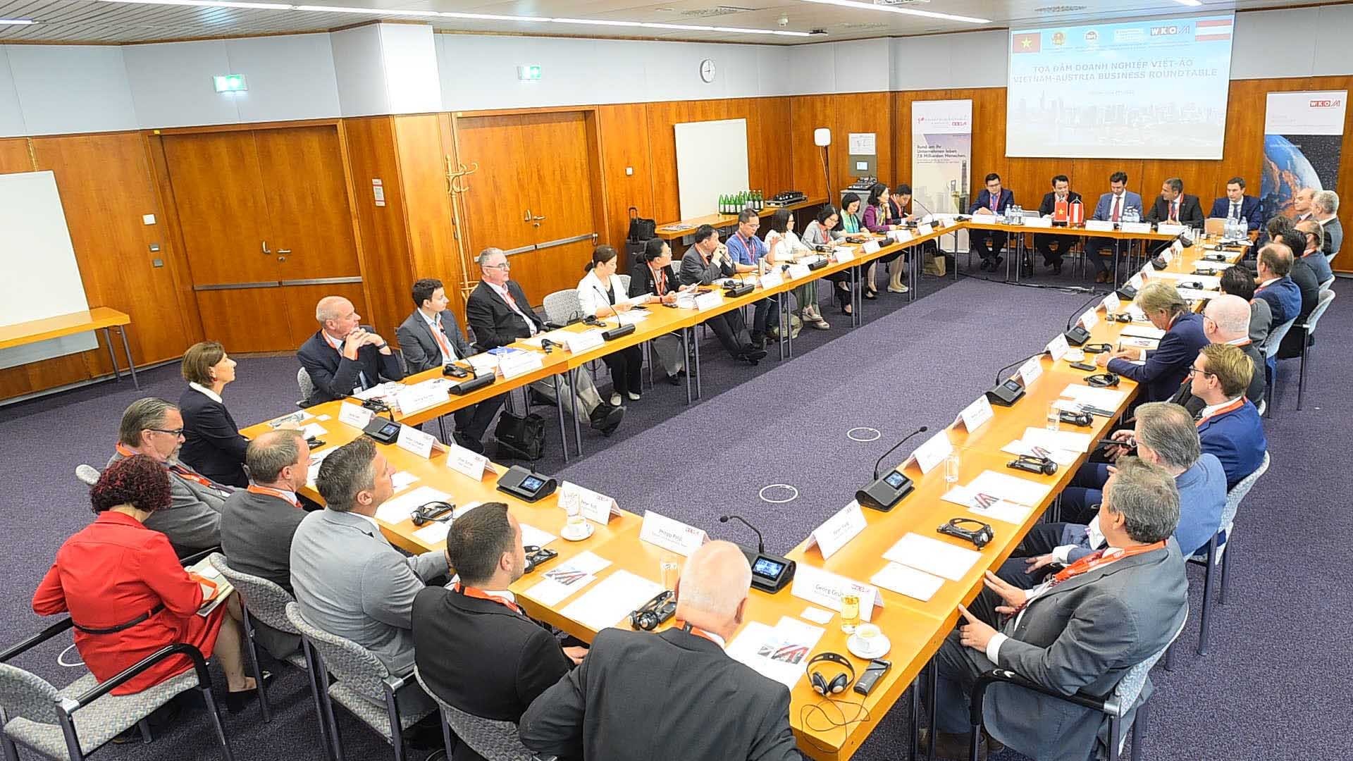 Hội nghị bàn tròn kinh doanh Việt Nam-Áo. (Nguồn: WKO Áo)