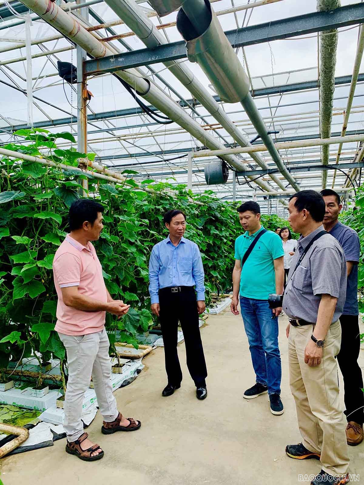 Đoàn công tác của Đại sứ quán Việt Nam tại Thụy Điển thăm trang trại trồng dưa của một gia đình Việt kiều Phan Văn Chính