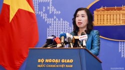 Việt Nam kiên quyết, kiên trì thực hiện các biện pháp phù hợp để thực thi, bảo vệ chủ quyền đối với quần đảo Hoàng Sa, Trường Sa
