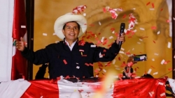 Chủ tịch nước Nguyễn Xuân Phúc gửi điện mừng Tổng thống Peru