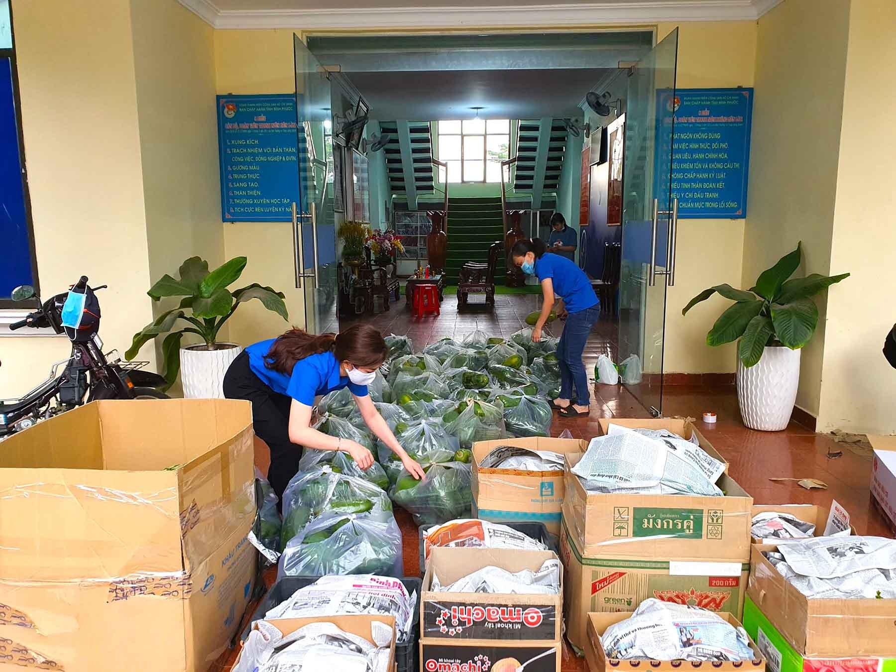 Thanh niên tỉnh Bình Phước chuẩn bị rau xanh gửi tặng TP. Hồ Chí Minh. (Ảnh: Tình Đoàn Bình Phước)