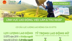 Cơ cấu lực lượng lao động của 53 dân tộc thiểu số