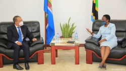 Đại sứ Nguyễn Nam Tiến chào xã giao Bộ trưởng Ngoại giao Tanzania