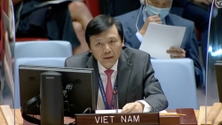 Việt Nam kêu gọi tất cả các bên tại Lebanon hết sức kiềm chế, tuân thủ Nghị quyết 1701 của HĐBA