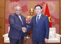 Thúc đẩy mạnh mẽ hơn nữa quan hệ giữa Việt Nam với Cuba và Nga