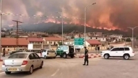 Điện thăm hỏi về vụ cháy rừng nghiêm trọng xảy ra tại Algeria