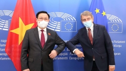 Top leaders of Vietnamese, European parliaments hold talks