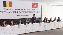 Tọa đàm doanh nghiệp Việt Nam-Bỉ: Chia sẻ những xu hướng đầu tư mới