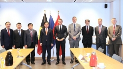 Viet Nam, Belgium agree to bolster bilateral relations