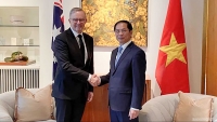Bộ trưởng Ngoại giao Bùi Thanh Sơn chào xã giao Thủ tướng Australia Anthony Albanese