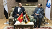 Thúc đẩy quan hệ giữa Thượng viện, Hạ viện Ai Cập với Quốc hội Việt Nam