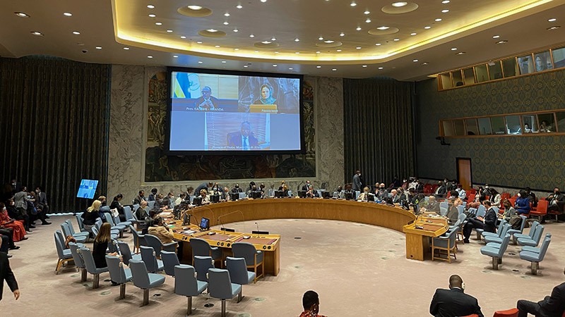 Hội đồng Bảo an thảo luận mở về chủ đề ‘Sự đa dạng, xây dựng quốc gia và tìm kiếm hòa bình’.