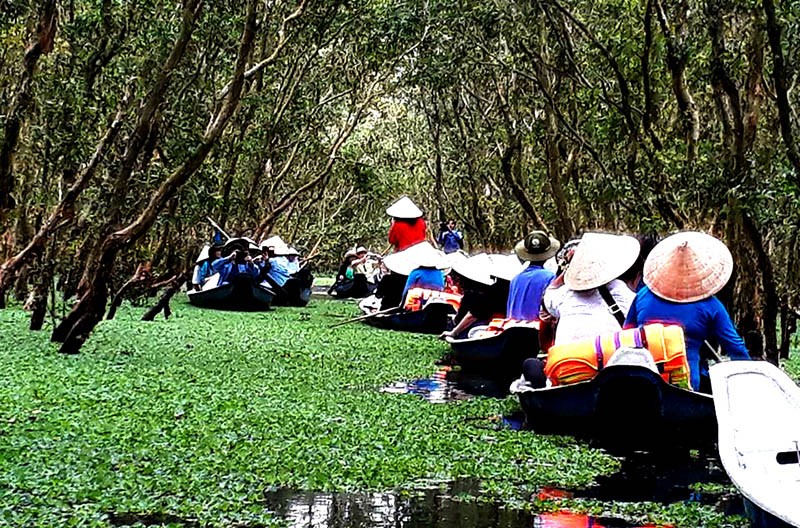 Về An Giang khám phá rừng Tràm Trà Sư