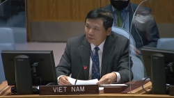 Việt Nam kêu gọi các bên tại CH Trung Phi thúc đẩy xây dựng lòng tin và tăng cường đối thoại