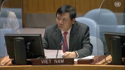Việt Nam hoan nghênh các hoạt động đối thoại, tiếp xúc giữa Israel và Palestine