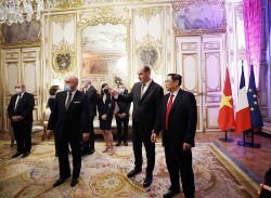 Viet Nam, France issue joint statement