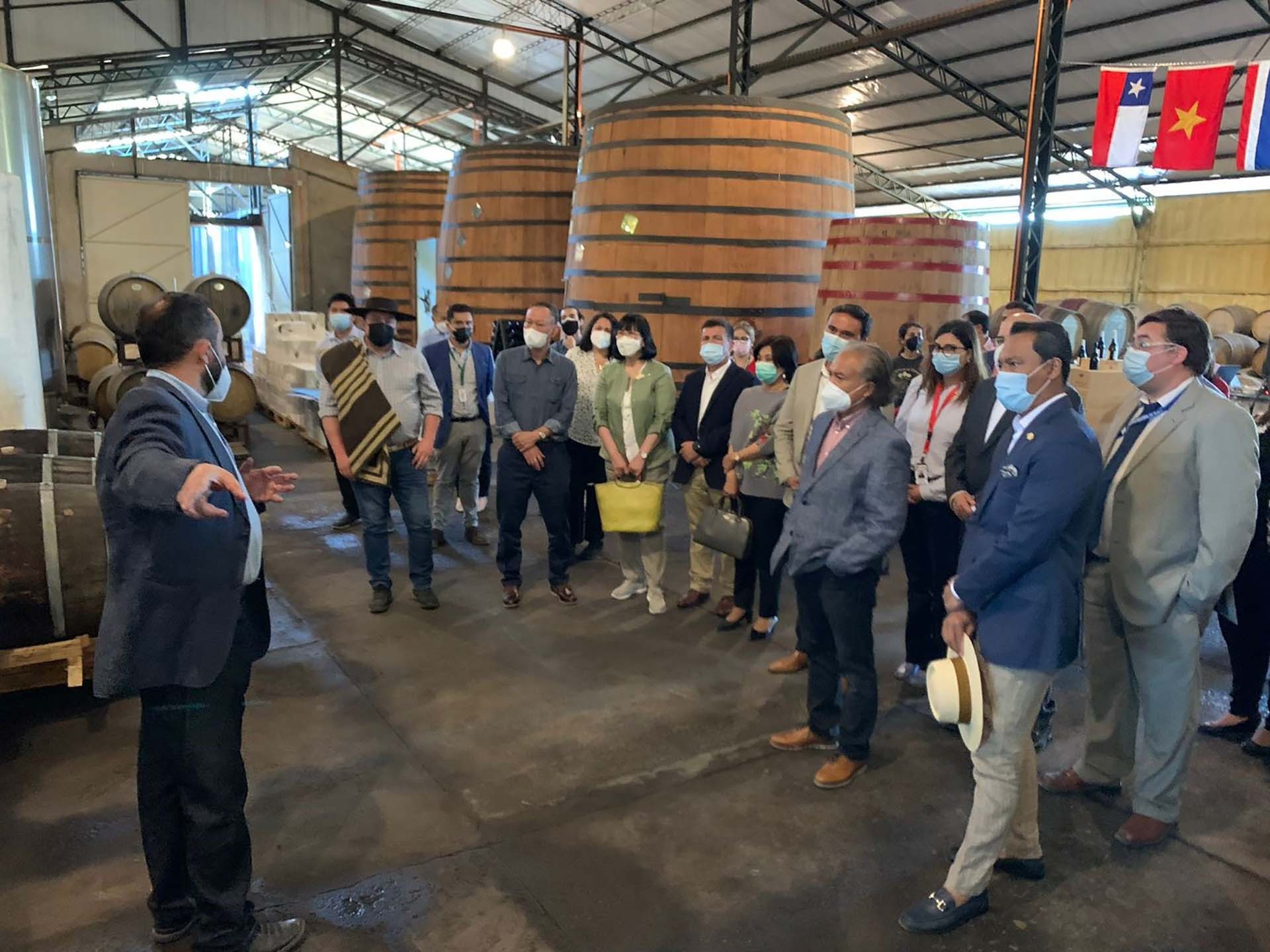 Các Đại sứ ASEAN thăm doanh nghiệp sản xuất rượu vang.