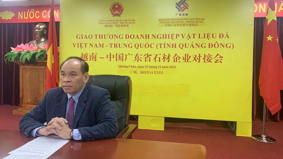 Tổng lãnh sự Vũ Việt Anh phát biểu khai mạc hội nghị.