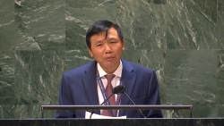 Việt Nam ủng hộ cải tổ Hội đồng Bảo an Liên hợp quốc